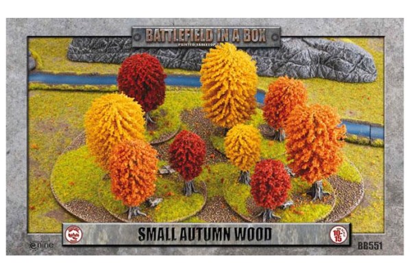 Small Autumn Wood (X1)