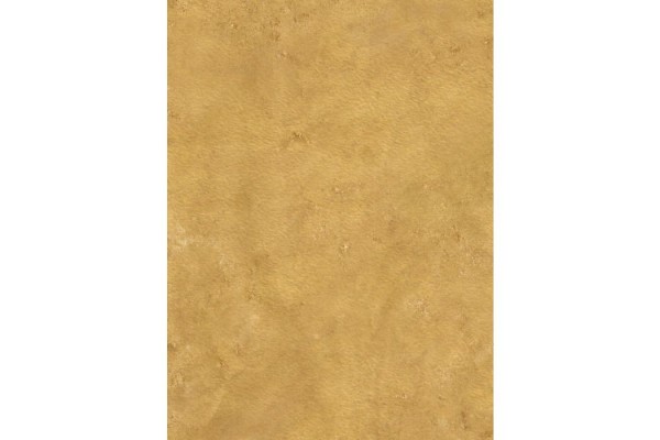 Sandy Desert 44 X 60 - Material : One-Sided Rubber Mat