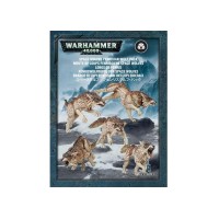 Space Marines: Space Wolves  Fenrisian Wolf Pack