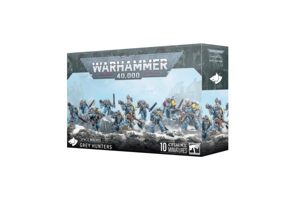Space Wolves: Grey Hunters