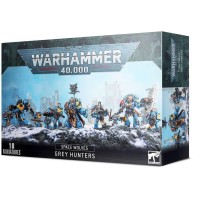 Space Marines: Space Wolves Grey Hunters --- Op = Op!!!