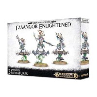 Disciples Of Tzeentch: Tzaangor Enlightened