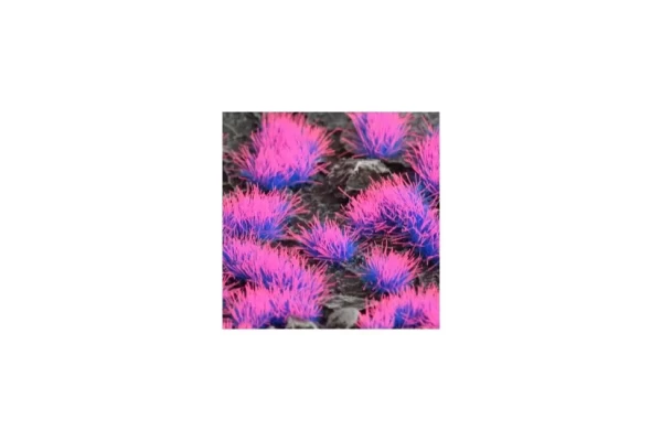 Alien Neon 4Mm - Wild