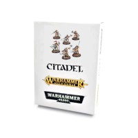 Stormcast Eternals: Questor Soulsworn Warband ---- Webstore Exclusive Stormcast Eternals: Questor Soulsworn Warband ---- Webstore Exclusive