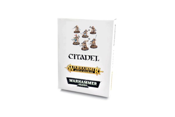 Stormcast Eternals: Questor Soulsworn Warband ---- Webstore Exclusive