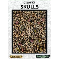 Citadel Skulls Citadel Skulls