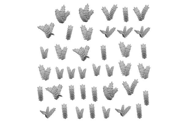 Fern Leaves 1:48-1:35