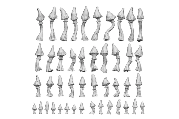 Goblin Mushrooms 1:48-1:35