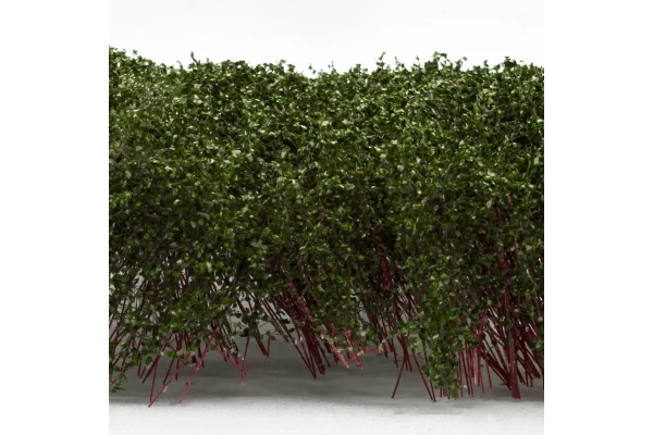Tall Shrubbery - Dark Green
