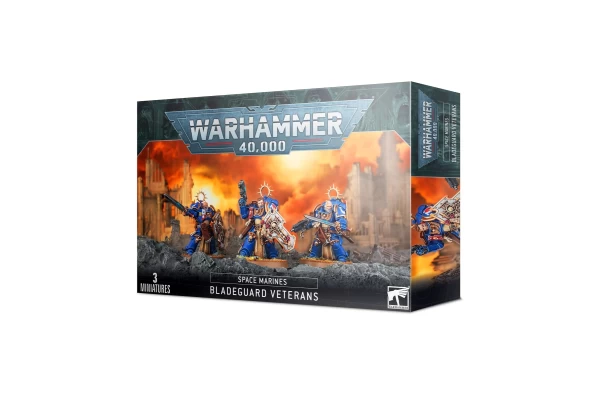 Space Marines: Bladeguard Veterans