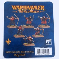 Kingdom Of Bretonnia: Squires --- Temporarily Out Of Stock Bij Gw ---- Webstore Exclusive