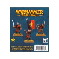 Kingdom Of Bretonnia: Squires Command ---- Webstore Exclusive Kingdom Of Bretonnia: Squires Command ---- Webstore Exclusive