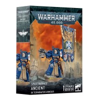 Space Marines: Ancient In Terminator Armour