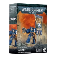 Space Marines: Ancient In Terminator Armour Space Marines: Ancient In Terminator Armour