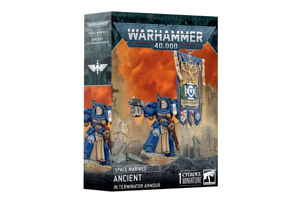 Space Marines: Ancient In Terminator Armour