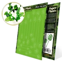 Paper Plants - Monstera
