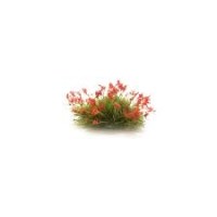 Red Flower Tufts Red Flower Tufts