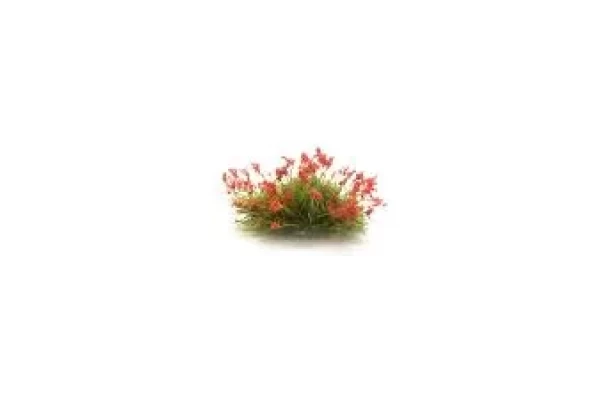 Red Flower Tufts