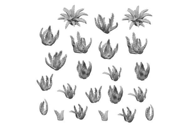 Resin Aloe Vera 1:48-1:35