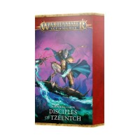 Warscroll Cards: Disciples Of Tzeentch (Eng)