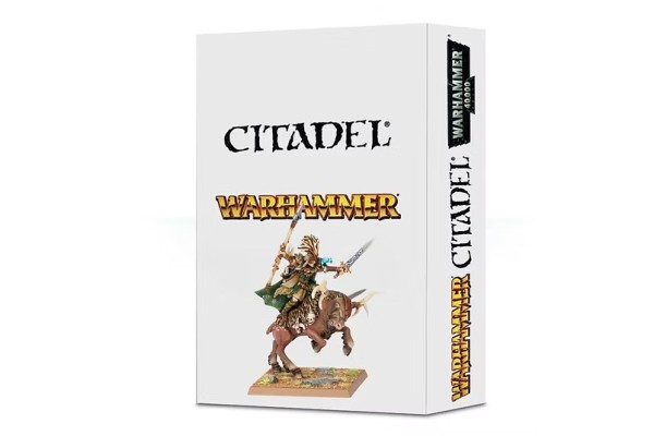 Wood Elf Realms: Wood Elf Noble On Stag ---- Webstore Exclusive