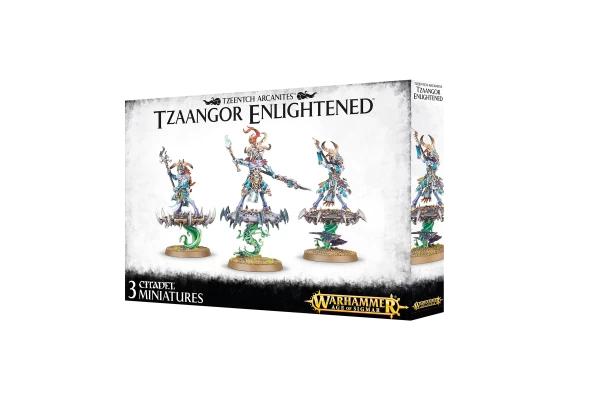 Disciples Of Tzeentch: Tzaangor Enlightened