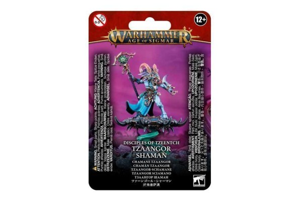 Disciples Of Tzeentch: Tzaangor Shaman