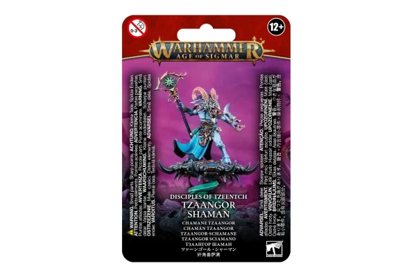 Disciples Of Tzeentch: Tzaangor Shaman