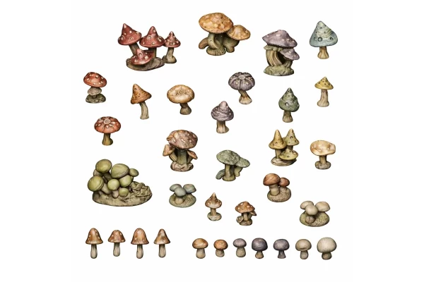 Wild Mushrooms 1:48-1:35