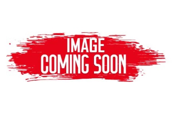 Dark Angels Transfer Sheets ---- Webstore Exclusive