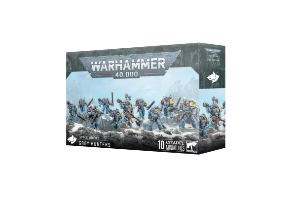 Space Wolves: Grey Hunters