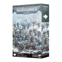 Combat Patrol: Space Wolves Combat Patrol: Space Wolves