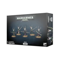 Drukhari: Incubi Drukhari: Incubi