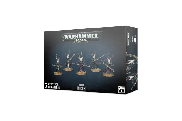Drukhari: Incubi